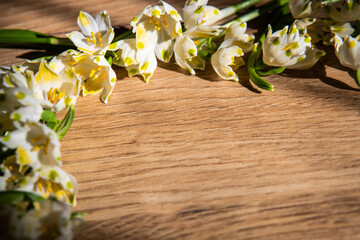 snowdrops on a wooden background