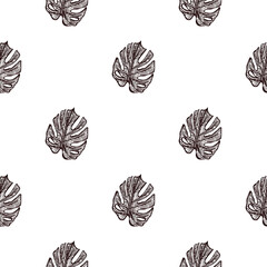 Engraving leaf monstera seamless pattern. Vintage leaves background.