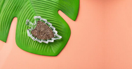 Organic chia seeds in bowl - Salvia hispánica