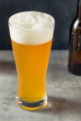 Cold Refreshing Craft Beer IPA
