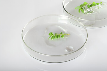 Laboratory utensils and facial serum on a white background. Alternative medicine, cosmetic research. Skin care. Dermatology. Top view. Background image. There is a plant nearby.