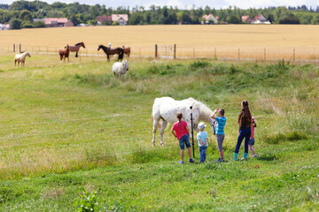 ländliche Idylle - Kinder stehen am Rande einer Pferdekoppel der mehrere Pferde stehen, und...