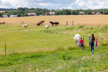 ländliche Idylle - Kinder laufen auf einer Wiese auf eine Pferdekoppel zu auf der mehrere Pferde...