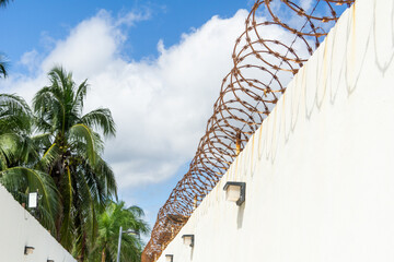 Concrete fence with barbed wire. Behind the prison fence, palm trees and the sky are visible.