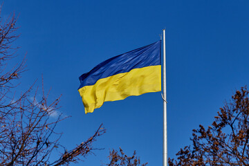 National flag of independent Ukraine waving in the wind on the blue sky