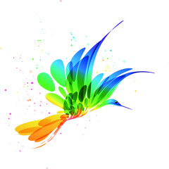 Colorful fantasy vector bird art in flight on white background