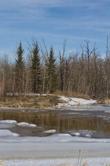 Pylypow Wetlands on the Last Day of Winter