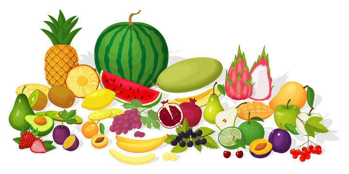 A set of fruits.Colorful cartoon icons of ripe and juicy fruits isolated on a white background.Watermelon,avocado,cherry,lime,petaya,pear,apple,plum,apricot,grape,mango,banana