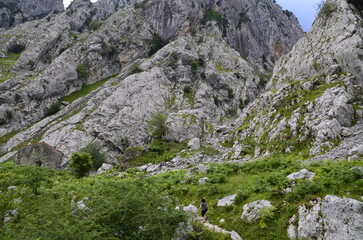 La ruta hacia Bulnes en plenos Picos de Europa, España.