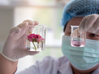 Selective focus, two small beakers in scientist's hand, one with flower and the other with essencial oil. Asian scientist study the liquid formula in the laborary.