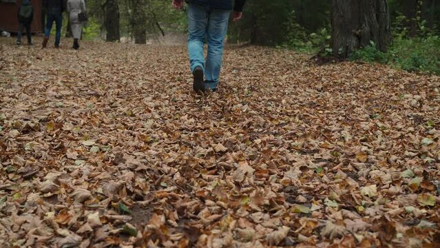 men's legs in jeans and boots walking on fallen leaves.golden autumn. park