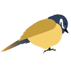 vector illustration of a bird tit