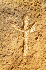 Petro in Sandstone
