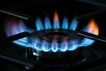 Natural gas burning a blue flames on black background. Gas in Europe. Gas crisis. Gas prices.