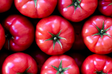 Piękne świeże pomidory przygotowane do sprzedaży na targu / Beautiful fresh tomatoes prepared for sale at the market - obrazy, fototapety, plakaty