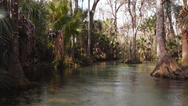 Rocks Springs Run at Kings Landing in Florida