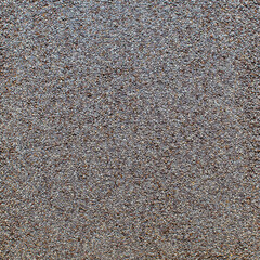 Photo of closeup texture of poppy seeds, background
