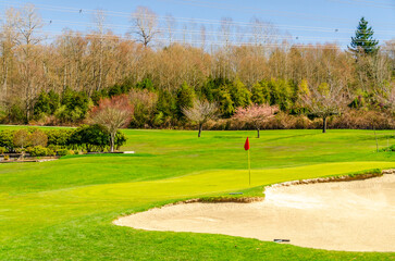 Golf course with yellow sand bunker and fantastic forest view.