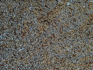 A gray texture of cement with little fragments of tree scattered about the texture with orange tones.
