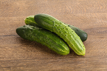 Fersh juicy green cucumbers heap