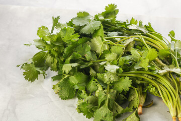 Fresh green Coriander leaves heap