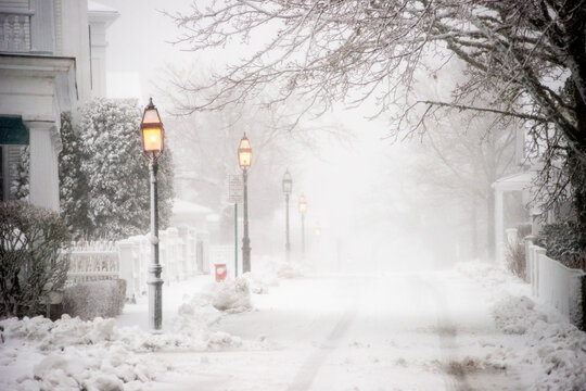 Winter Storm On Martha's Vineyard