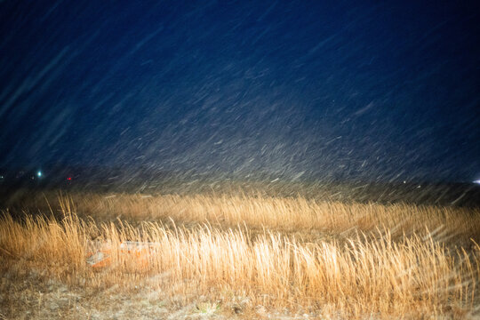 Winter Storm On Martha's Vineyard