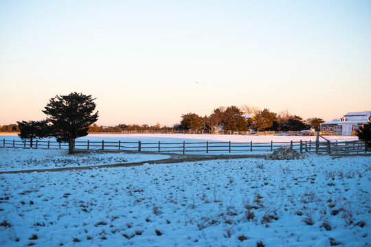 Winter Storm On Martha's Vineyard