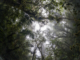 Parque Nacional Santa Fe Veraguas