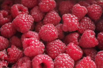 Bright red raspberries. Red berry background, copy space