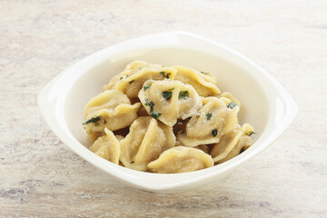 Russian boiled dumplings with meat