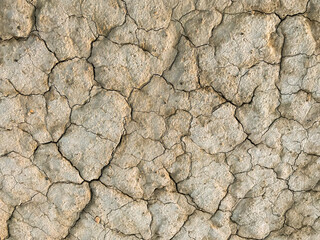 Dry cracked earth. Drought. The dried-up bottom of the lake. Abstract yellow background. Copy space