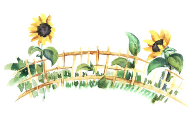 Hand painted watercolor illustration. Decorative vignette ornament. Rustic wicker fence. Two bright sunflower flowers. Sketchy drawn on white background