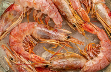 Close up Shrimps, prawns. Seafood Red Argentine shrimps with ice, Wild shrimps, ocean jumbo...