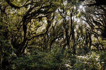 Naklejka premium Relax time 