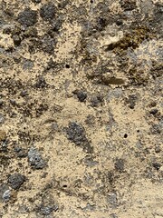 stone wall texture