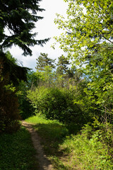 Walkway in the botanical garden, Vanadzor