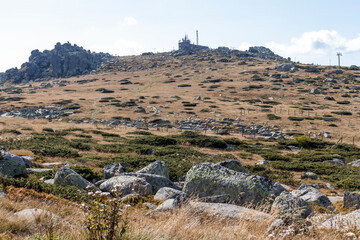 Fototapeta premium Autumn Landscape Vitosha Mountain, Bulgaria