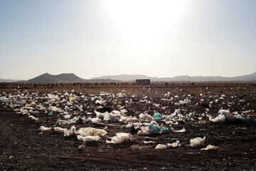 Garbage in nature - dumping garbage