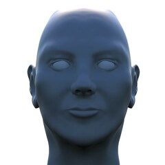  model of human head in 3d