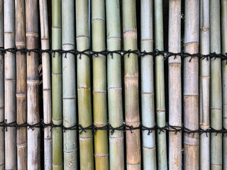 Fototapeta premium 日本庭園 竹の壁 web素材 テクスチャJapanese garden bamboo wall web material texture