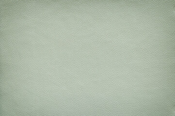 Texture of matte leather pale green color, vignetting.