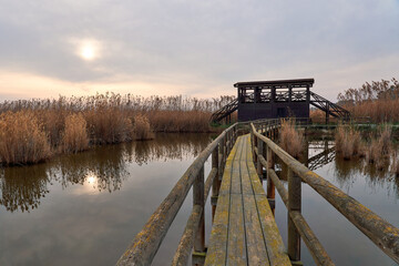 Sunrise in the El Hondo de Elche natural park in Elche-Crevillent, Alicante, spain.