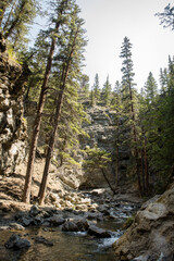 Beautiful creek running through a conifer forest in the rocky mountains