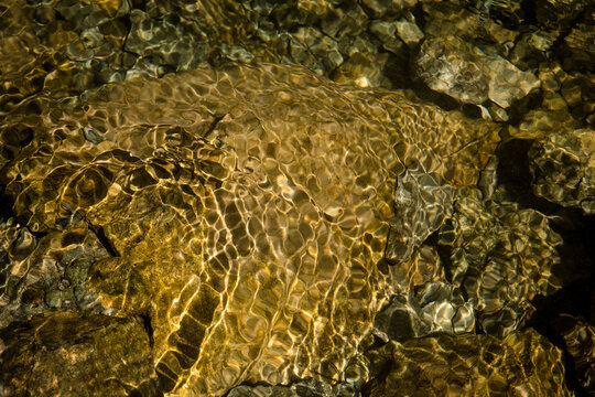 Golden sunlight patterns on riverbed rocks