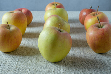 A pile of apples on a rough cloth