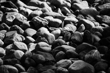 Sea stones in black and white