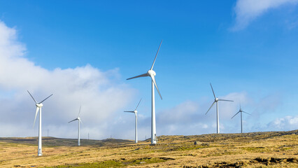 A large group of wind turbines on the Faroe Islands