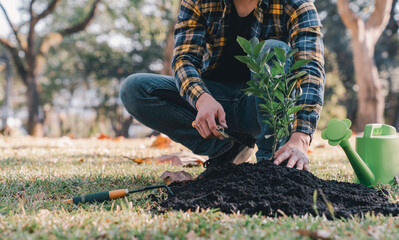 Plant a tree. Close-up of a young volunteer planting a tree and watering it. environmental and ecology concepts