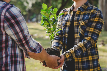 Two men planting a tree concept of world environment day planting forest, nature, and ecology A young man's hands are planting saplings and trees that grow in the soil while working to save the world.